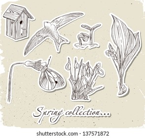 Vintage set of spring elements. Vector illustration EPS10