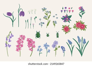 Vintage-Set mit Frühlingspflanzen und Käfer. 
Vektorbotanische Illustration. Bluebell, Anemon, Nelkraut, Haselhain, Hyazinth, Muscari, Geranium, Vergiss-me-not, Würze.  Farbenfroh. 