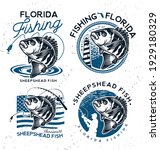 Vintage sheepshead fish emblems. and labels. Vector illustration.