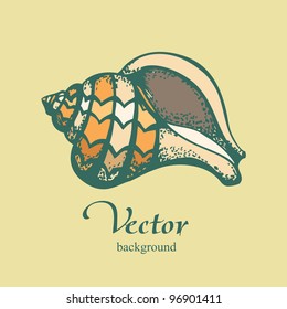 Vintage shell on beige background