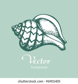 Vintage shell on blue background