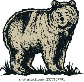 Vintage Siberian Bear islolated on a white background vector bear illustraion.