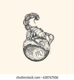 Vintage sign of zodiac. Scorpio. Vector illustration.