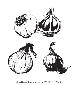 vintage sketch of garlic and onions. Shallot retro monocolor sketch.