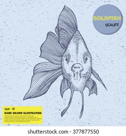 Vintage sketch of goldfish. Hand drawn illustration in line art style. Tattoo sketch
