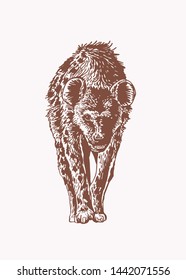 Vintage sketch of hyena,retro illustration,hunter