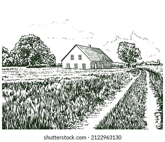 Vintage sketch illustration of old farm. Rural landscape illustration 