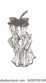vintage sketch of rotten apple illustrated on isolated white page.
