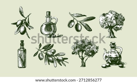 Vintage sketch set of olive branches, bottles of oil, trees. Extra virgin, farm product, Mediterranean cuisine, cosmetic,  packaging label, bottle sticker. Engraved hand drawn vector illustration.