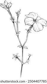 Boceto de Antiguas de la flor salvaje. Arte de tinta grabada en blanco y negro. elemento de ilustración aislado sobre fondo blanco.