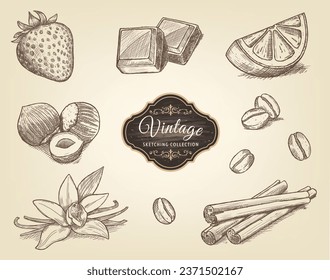 Esbozos vintage de fresa, naranja, chocolate, canela de vainilla, avellanas, nueces, almendras y granos de café Comida vegetariana, orgánica. Ilustración vectorial. 