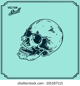 Vintage Skull