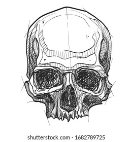 Vintage skull in sketch style for tattoo