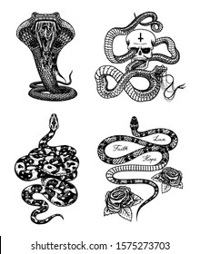 Vintage snake set. Royal python with skull and roses, milk reptile, venomous cobra. Poisonous Viper for poster or tattoo. Engraved hand drawn old sketch for t-shirt or logo. 