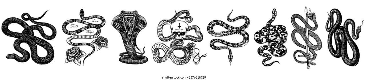 Vintage snake set. Skeleton royal python with skull and roses, milk reptile with sword, Venomous Cobra. Poisonous Viper for poster or tattoo. Engraved hand drawn old sketch for t-shirt or logo. 