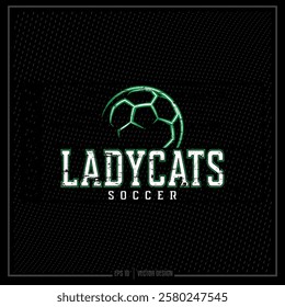 Vintage Soccer, Soccer Ball, Soccer, Team, Game, Player, Ball, Sports Ball, Ladycat, Ladycat Soccer, Spirit, Mascot, Fotball