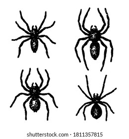 Vintage spider illustrations isolated on white background