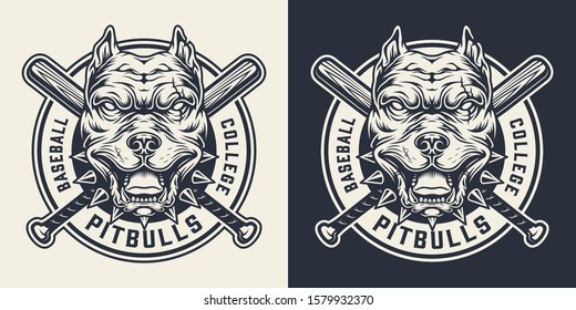 Vintage sport team monochrome logo with angry pitbull head and crossed baseball clubs isolated vector illustration