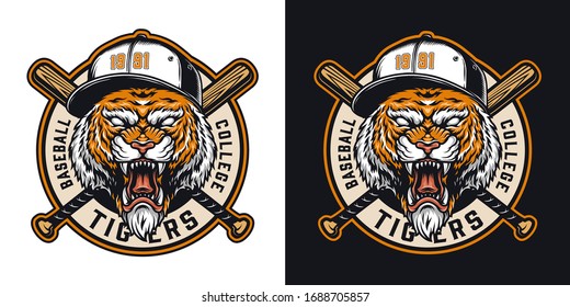 Vintage sports colorful round logo with crossed baseball clubs and angry tiger head in cap isolated vector illustration