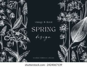 Vintage spring background. Hand drawn vector illustration. Floral frame on chalkboard. Woodland wild flower sketches. Wildflowers design template