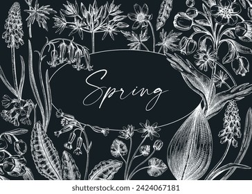 Vintage spring background. Hand drawn vector illustration. Floral frame on chalkboard. Woodland wild flower sketches. Wildflowers design template