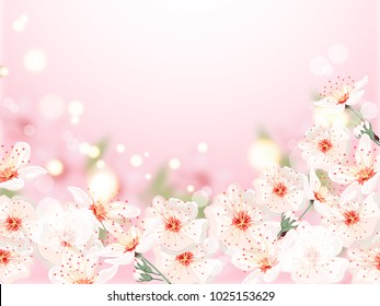 Vintage Spring Floral Background.Border With Cherry Blossom Flowers On A Blurred Background. Vector Illustration