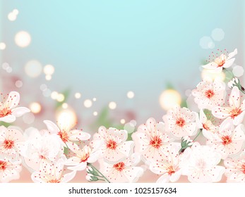 Vintage spring floral background.Border with cherry blossom flowers on a blurred background. Vector illustration