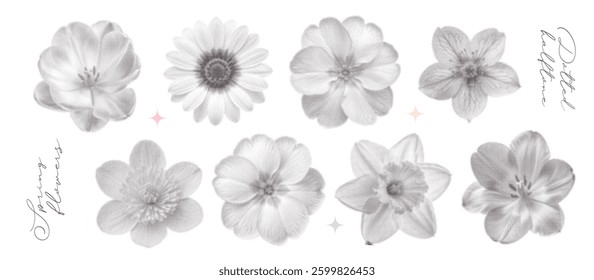 Vintage spring flowers kit. Collage flowerheads in top view with a girly aesthetic. Retro bitmap scrapbooking style with cutout element. Trendy stickers with photocopy dotted effect.