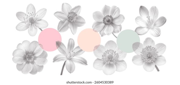 Vintage spring flowers set. Collage flowerheads in top view with a minimalism aesthetic. Retro bitmap scrapbooking style with dotted element. Trendy stickers with photocopy effect.