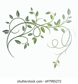 Vintage spring tree branch with leaves isolated on white background. Retro swirl ornate garden decoration, border, frame, corner. Calligraphy style postcard, menu, wedding invitation, romantic design.