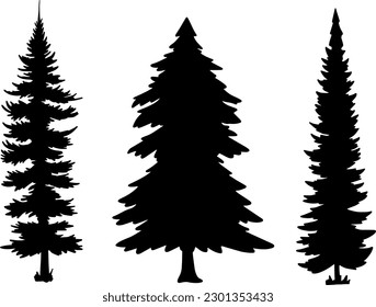 Vintage spruce silhouette trees set in monochrome