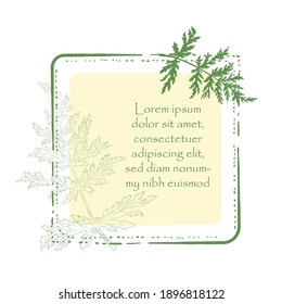 Vintage Square Frame with Rounded Corners and Delicate Phacelia Leaves. Hand Drawn Leaves and Frame Finished with Brushes. Vector Illustration for Environmental and other Products, Posters, Designs.