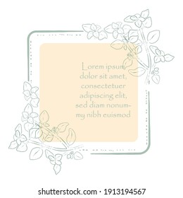 Vintage Square Frame with Rounded Corners and Oregano. Hand Drawn Leaves and Frame Finished with Brushes. Vector Illustration for Culinary and other Products, Posters, Designs.