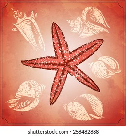 vintage starfish and seashells on the old paper vector illustration