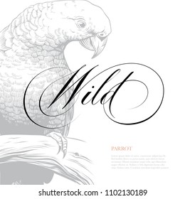 Vintage Style Background with Parrot and Calligraphy