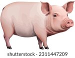 Vintage style, beautiful and realistic illustration of a cute pink pig portrayed from the side