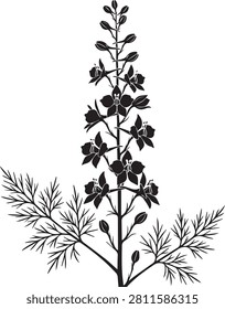 Vintage style botanical drawing of a tall flower spike with feathery leaves botanical illustration feathery silhouette engraving monochrome