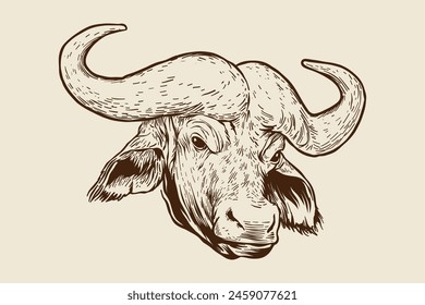 vintage style buffalo head illustration