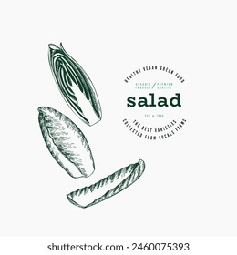 Vintage Style Chicory Illustration. Green Vegetable Illustration. Vector Hand Drawn Salad. Vintage Style Gerden Cress Illustration. Green Vegetable Illustration. Vector Hand Drawn Salad. 