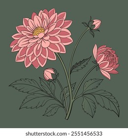 Vintage style dahlia flowers with pink petals, green leaves, detailed line art on sage green background