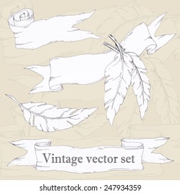 vintage style design elements: ribbons, feathers. Vector illustration. use for logo, banner, tag, text