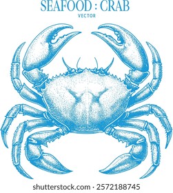 Vintage style detailed seafood illustration, hand-drawn etching style, antique engraving style.