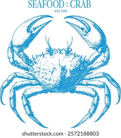 Vintage style detailed seafood illustration, hand-drawn etching style, antique engraving style.