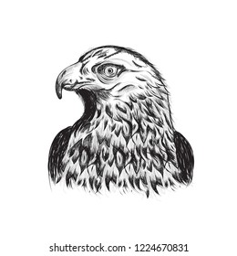 Vintage style eagle
