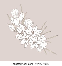 Vintage Style Element Crocus Decorative Element, Ornament, wedding, birthday, greeting, Thank you Card,  invitation, fashion, Beauty, Events, Tattoo use.