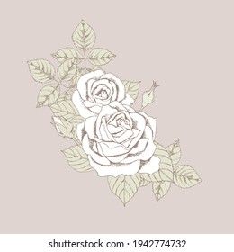 Vintage Style Element Roses Decorative Element, Ornament, wedding, birthday, greeting, Thank you Card,  invitation, fashion, Beauty, Events, Tattoo use.