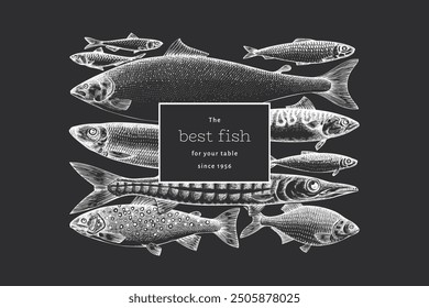 Vintage Style Fish Chalk Board Illustration. Vector Hand Drawn Seafood. High Quality Old Fashion Image