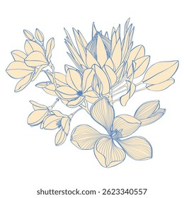 Vintage style foliage wall art template. Collection of hand drawn flowers texture, leaf branch, line art. Botanical poster for wall decoration, interior, wallpaper, banner.