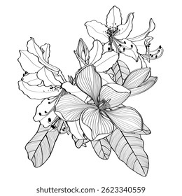 Vintage style foliage wall art template. Collection of hand drawn flowers texture, leaf branch, line art. Botanical poster for wall decoration, interior, wallpaper, banner.