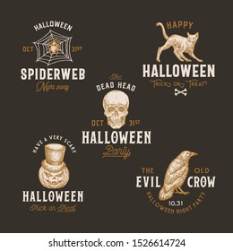 Vintage Style Halloween Logos or Labels Template Set. Hand Drawn Spider Web, Pumpkin, Scull, Crow or Raven, and Cat Sketch Symbols Collection. Retro Typography. Dark Background.